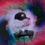Profile picture for user taiskor