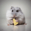 Profile picture for user jo.nt.h.ed.efen.der