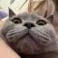 Profile picture for user mariadolgop0lova