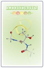Обложка игры "Аминокислоты"