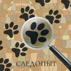 игра_"СЛЕДОПЫТ"